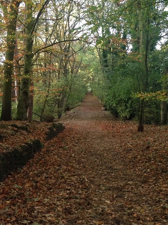 ROYDEN PARK & THURSTASTON COMMON MERSEYSIDE INGLATERRA