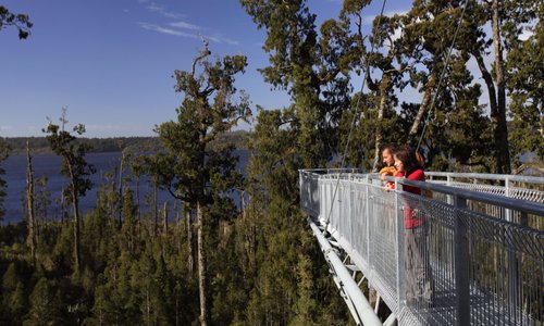 Westcoast Treetop Walk