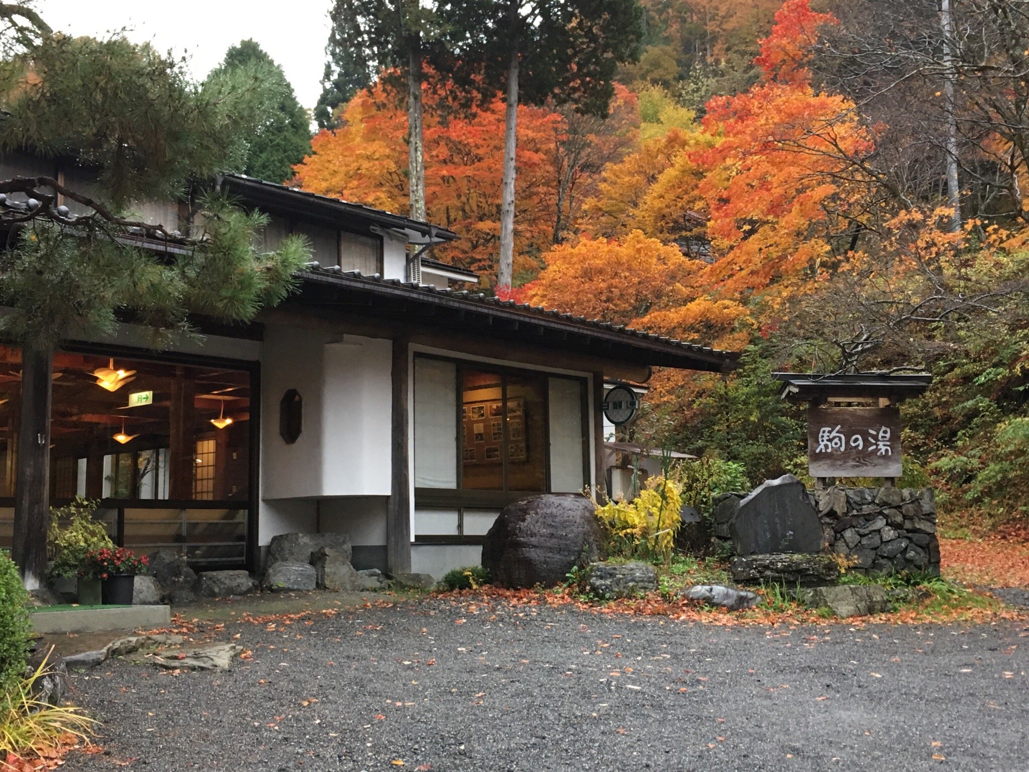 コレクション 木曽町 ペットと泊まれる宿