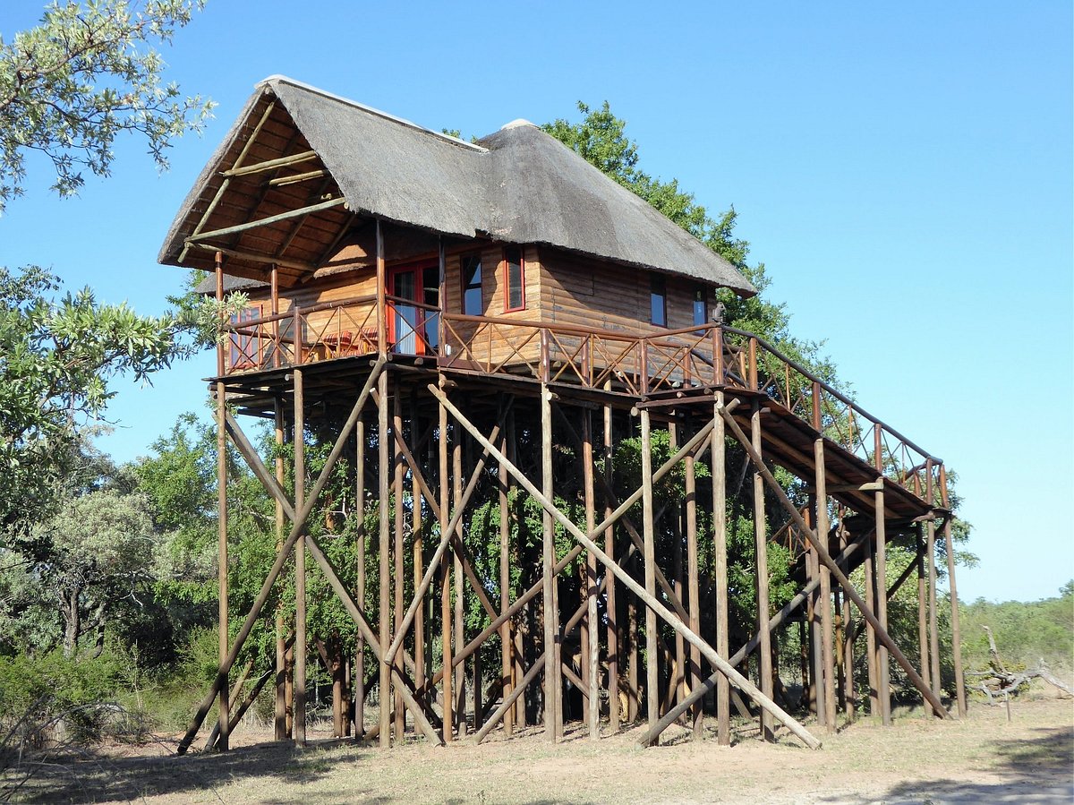 PEZULU TREE HOUSE LODGE (Guernsey Private Nature Reserve) - отзывы, фото и  сравнение цен - Tripadvisor