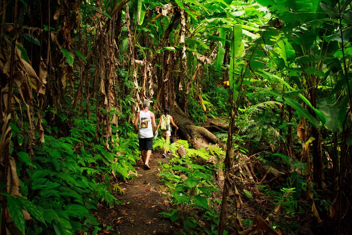 Khao Phra Thaeo National Park, Thep Krasattri: лучшие советы перед  посещением - Tripadvisor