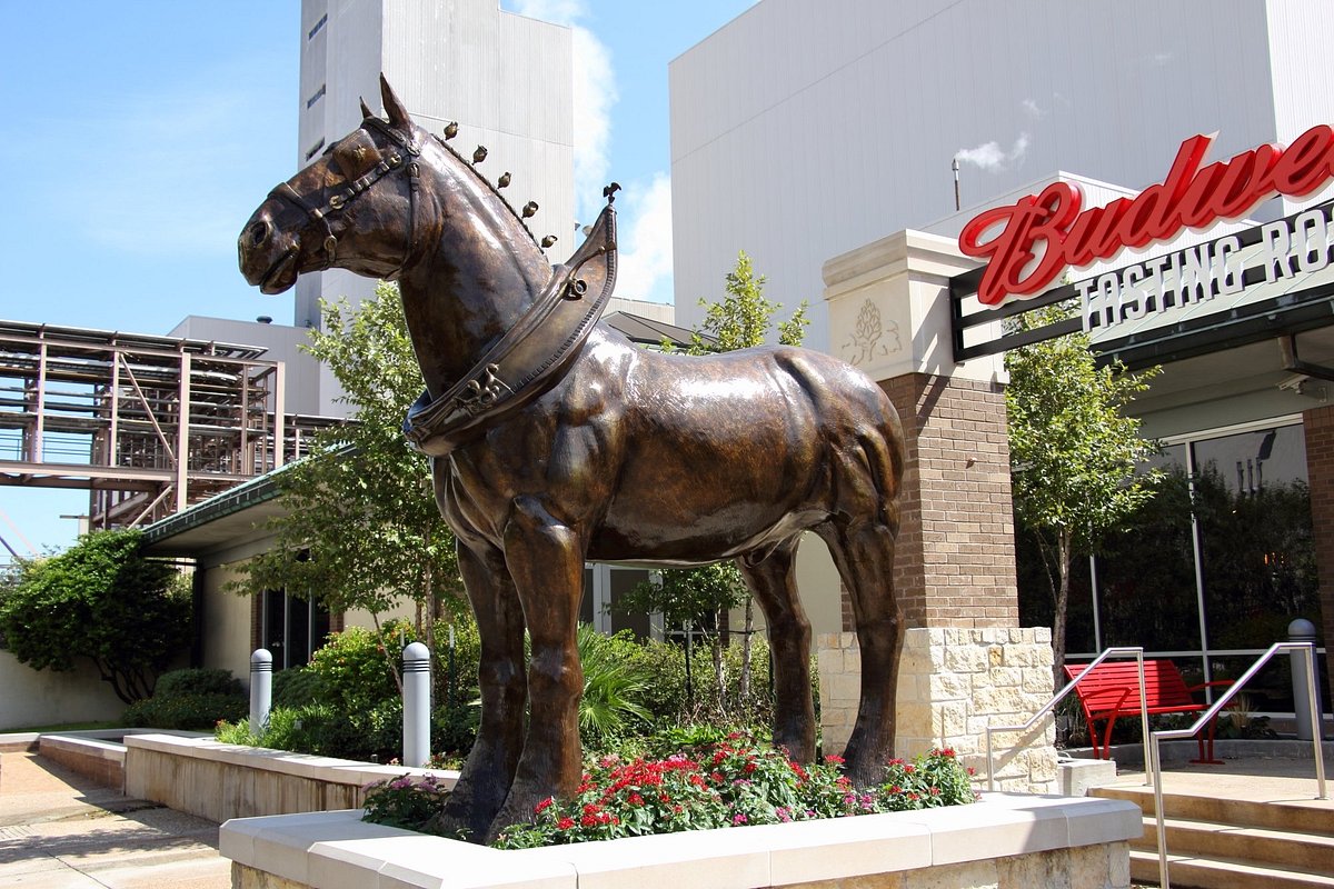 Budweiser Plant - Houston, TX - Local Business