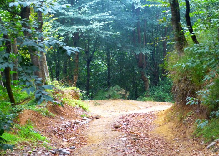Ramsar, Iran Tourismus in Ramsar Tripadvisor