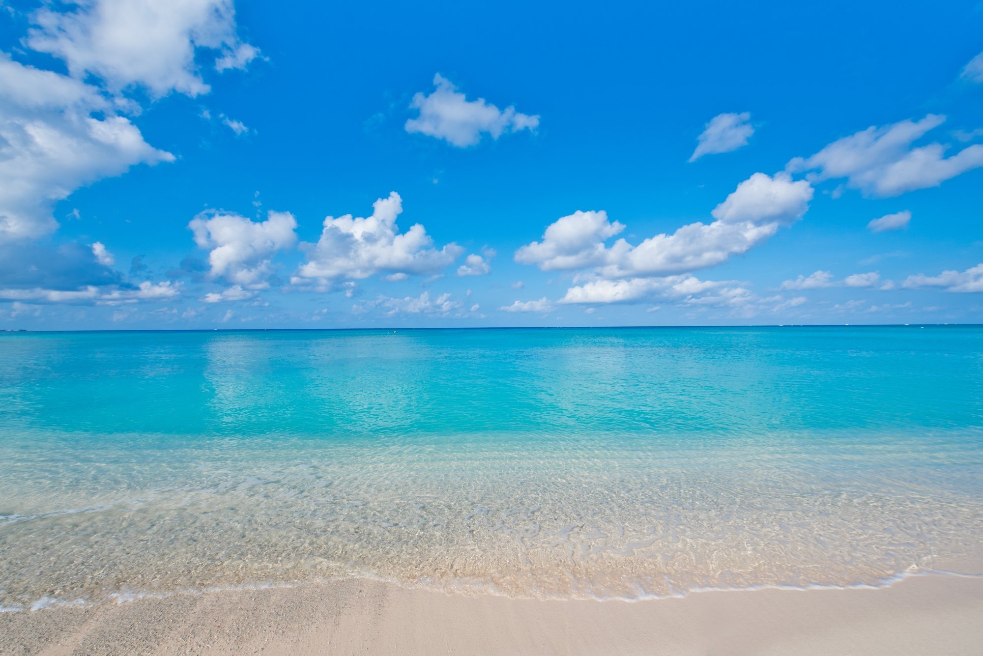 Caribbean Club by null