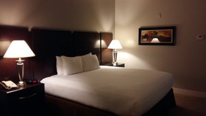 Lights, Camera, Action! Your Mississippi Adventure Awaits at Harlow's Casino Resort & Hotel