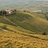 Things To Do in Barolo Wine Experience, Restaurants in Barolo Wine Experience