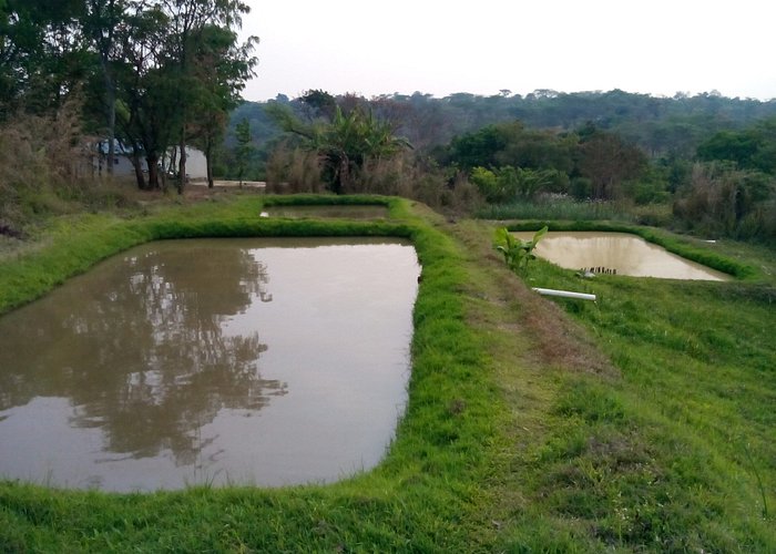 For those wanting to do some fishing we have the right ponds and natural water reservoirs
