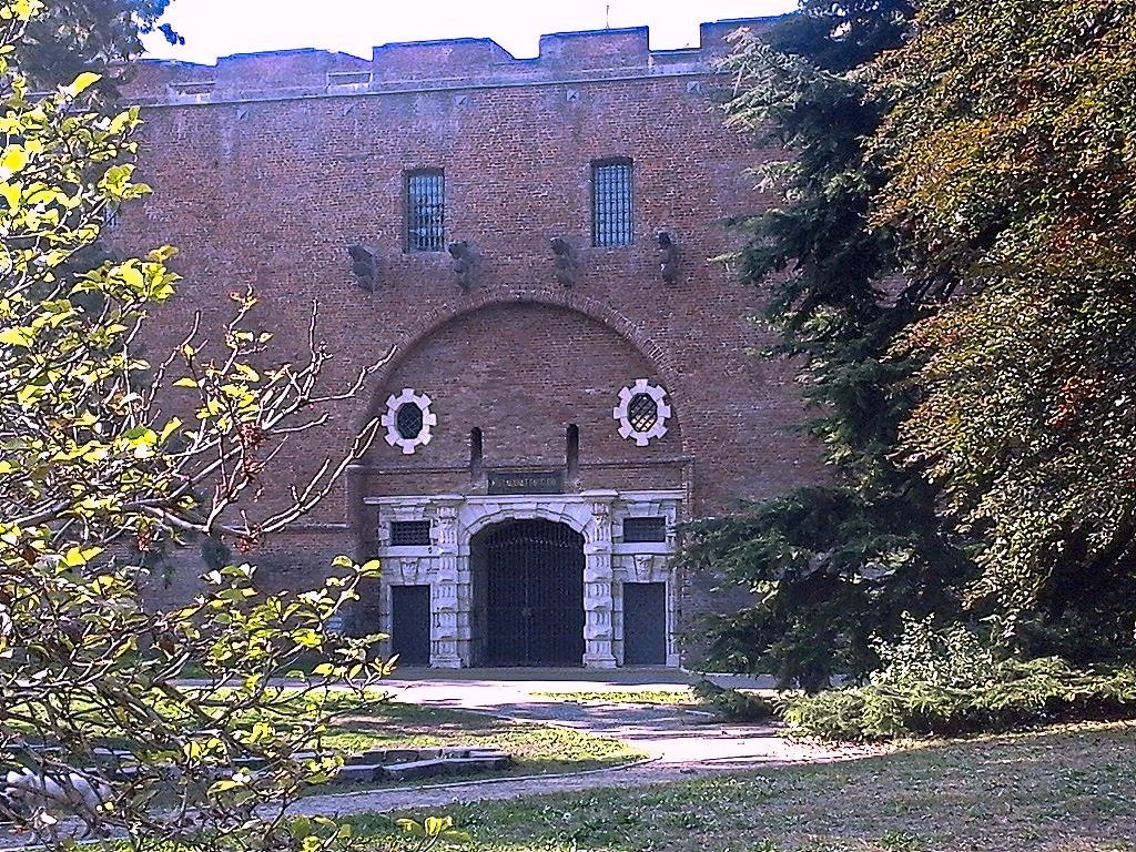 MASTIO DELLA CITTADELLA (Turin): Ce Qu'il Faut Savoir