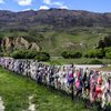 Things to do in Cardrona, South Island: The Best Tours