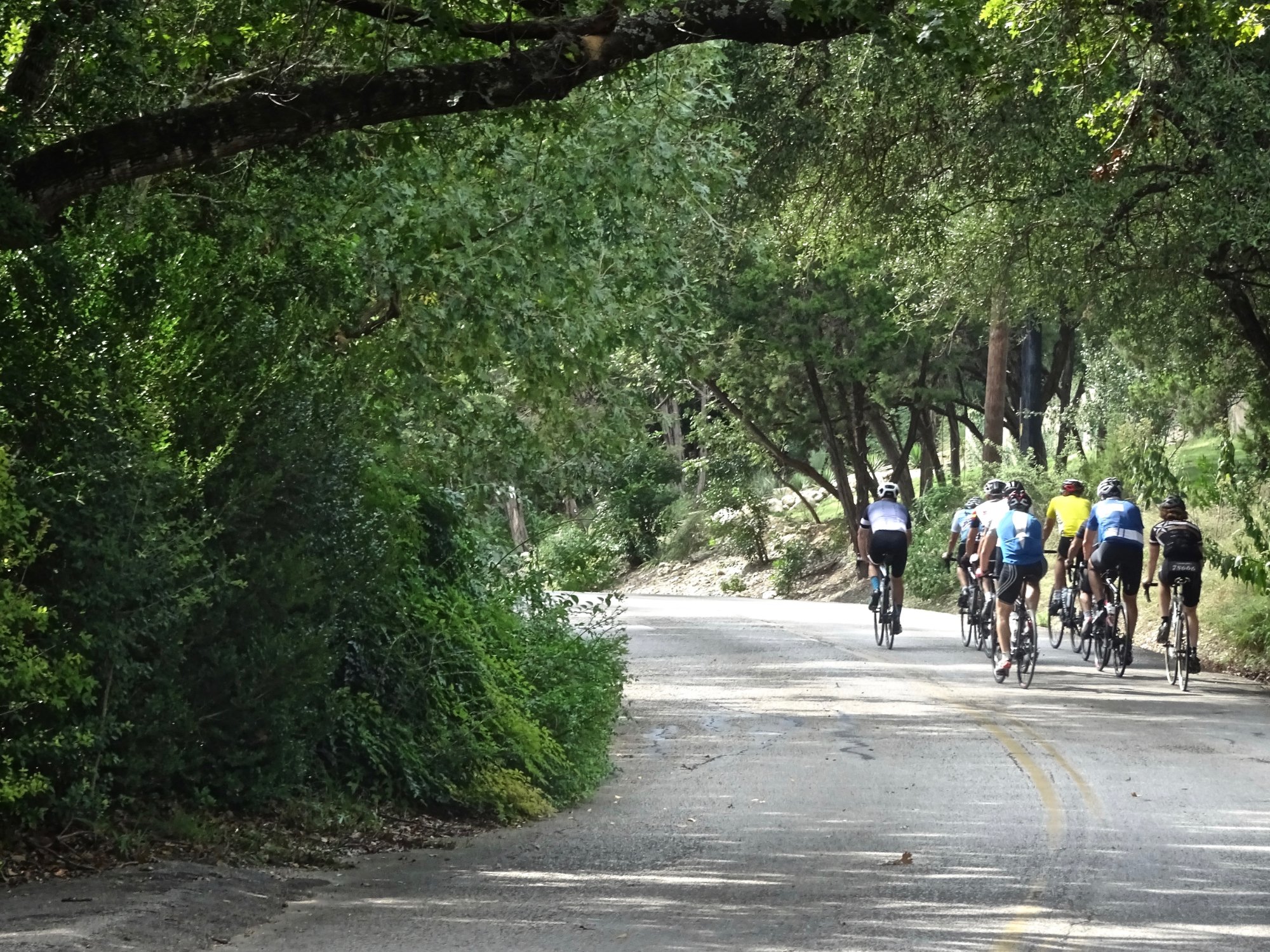 Texas Bike Tours - All You Need To Know BEFORE You Go (2024)