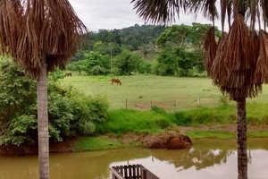 HOTEL RONDONIA - Hostel Reviews (Machadinho d'Oeste, Brazil)