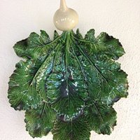 Turnip by the wall.