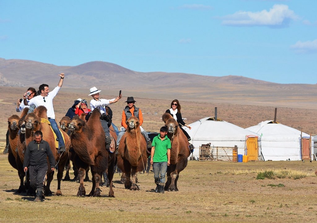 amicus mongolia travel company reviews