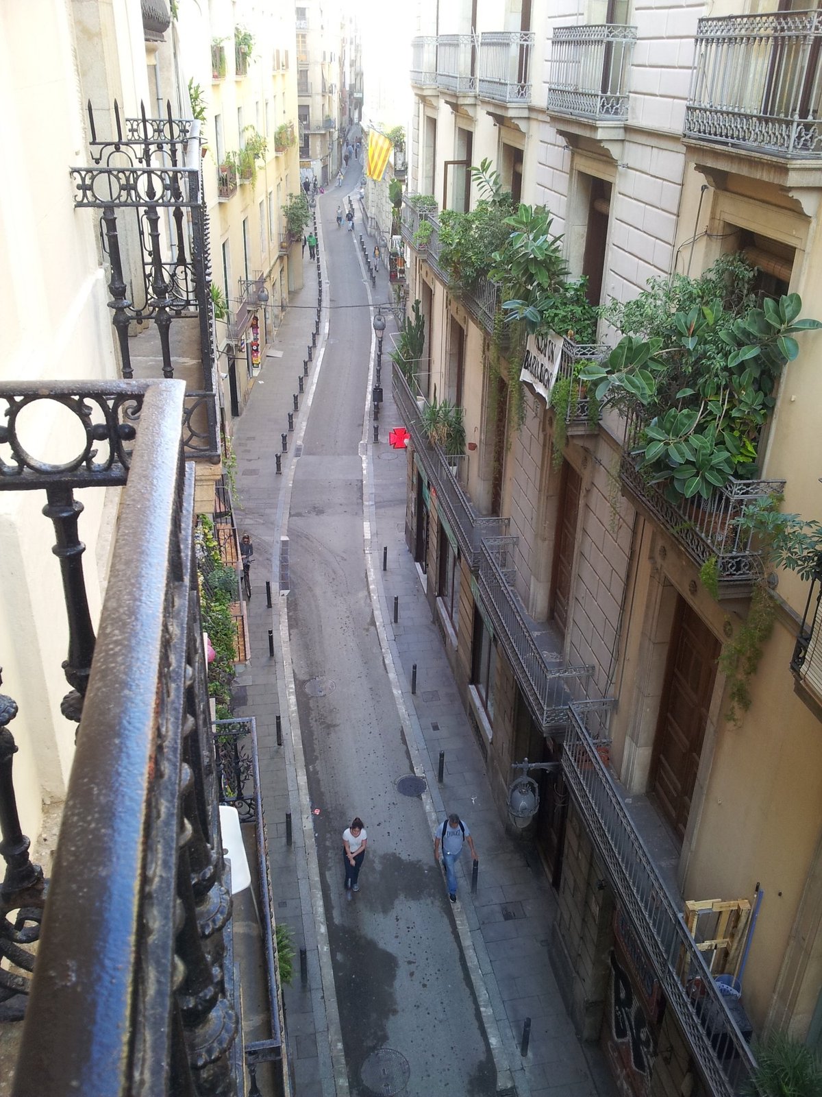 GUESTHOUSE BARCELONA GOTIC (Барселона) - отзывы, фото и сравнение цен -  Tripadvisor