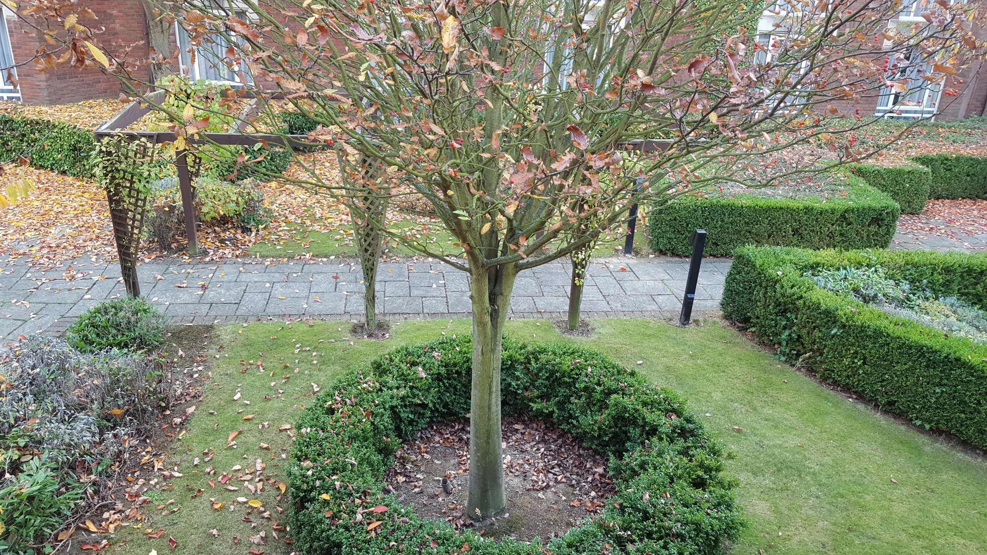 Hotel photo 18 of Orida Maidstone.