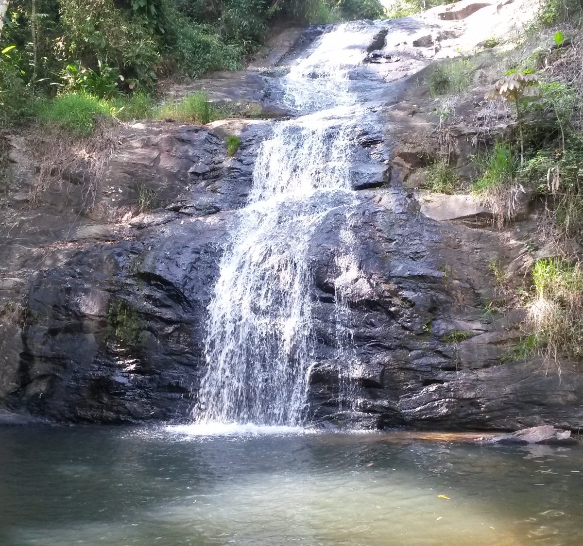 Floresta Nacional de Passa Quatro - All You Need to Know BEFORE You Go