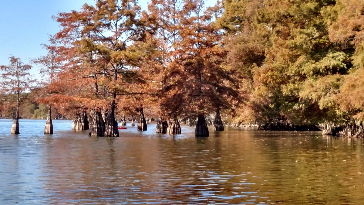 Lake Chicot State Park, Lake Village: лучшие советы перед посещением -  Tripadvisor