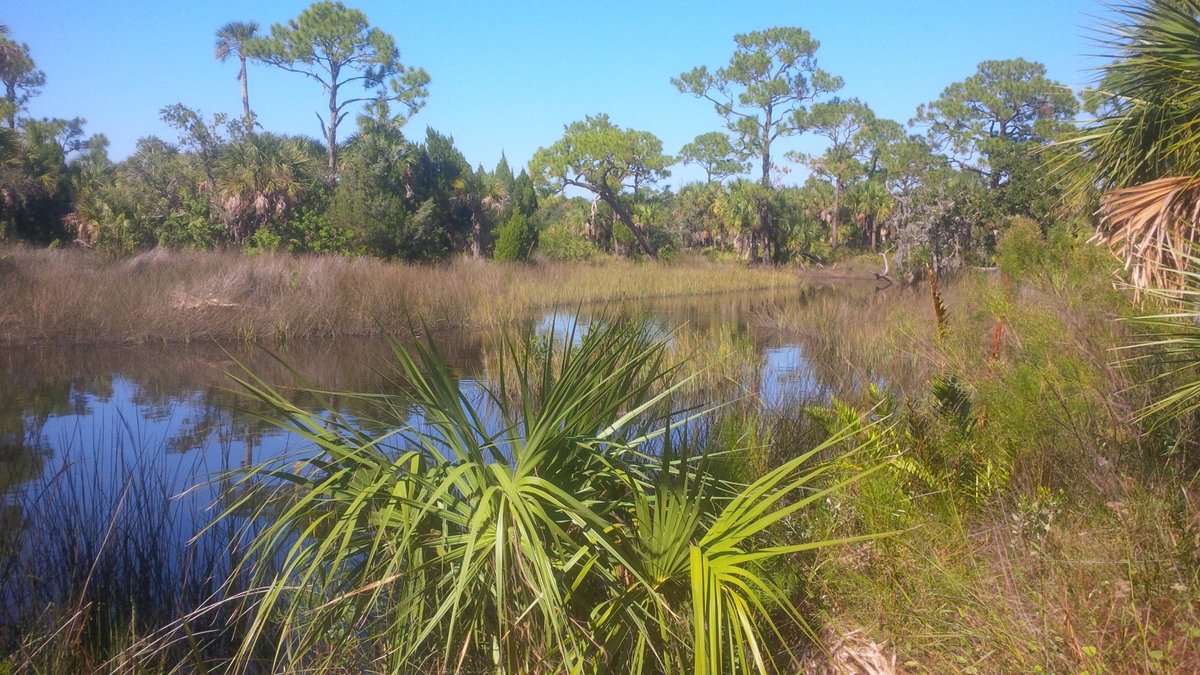 Werner-Boyce Salt Springs State Park (Port Richey) - All You Need to ...