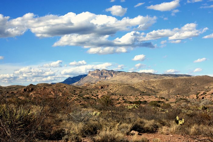 THE NATURE CONSERVANCY'S MULESHOE RANCH PRESERVE - Lodge Reviews ...