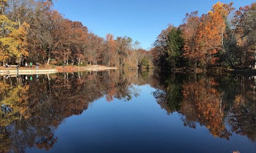 Mallard Lake in November