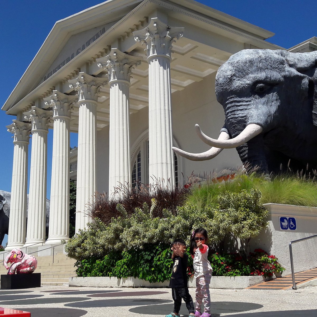 Lindsay Wildlife Museum.