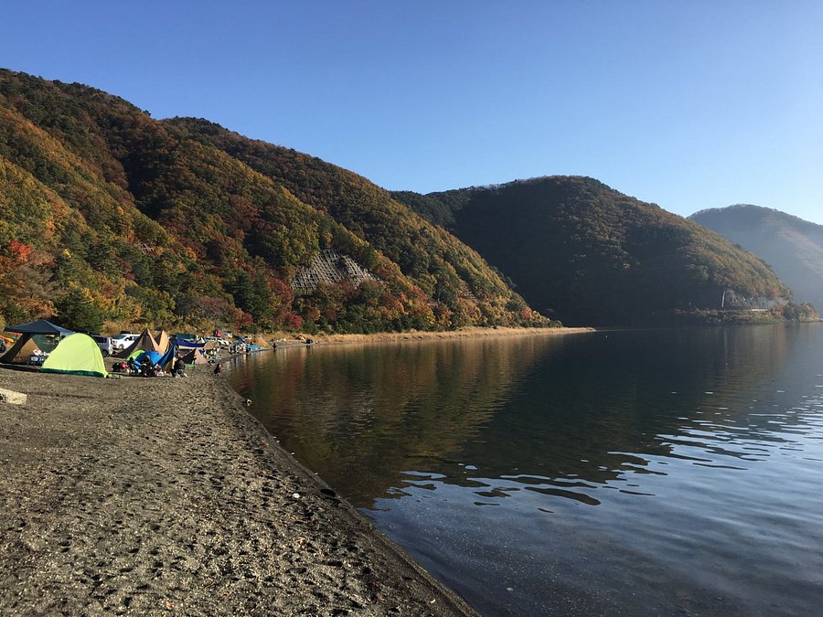 浩庵キャンプ場 口コミ 宿泊予約 トリップアドバイザー