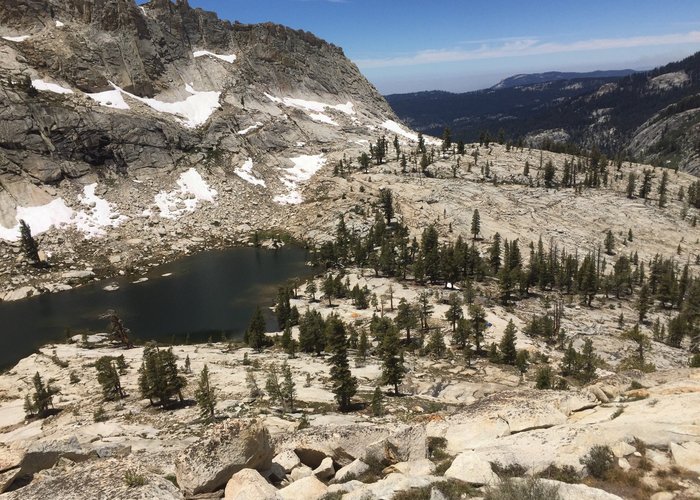 are dogs allowed in sierra national forest