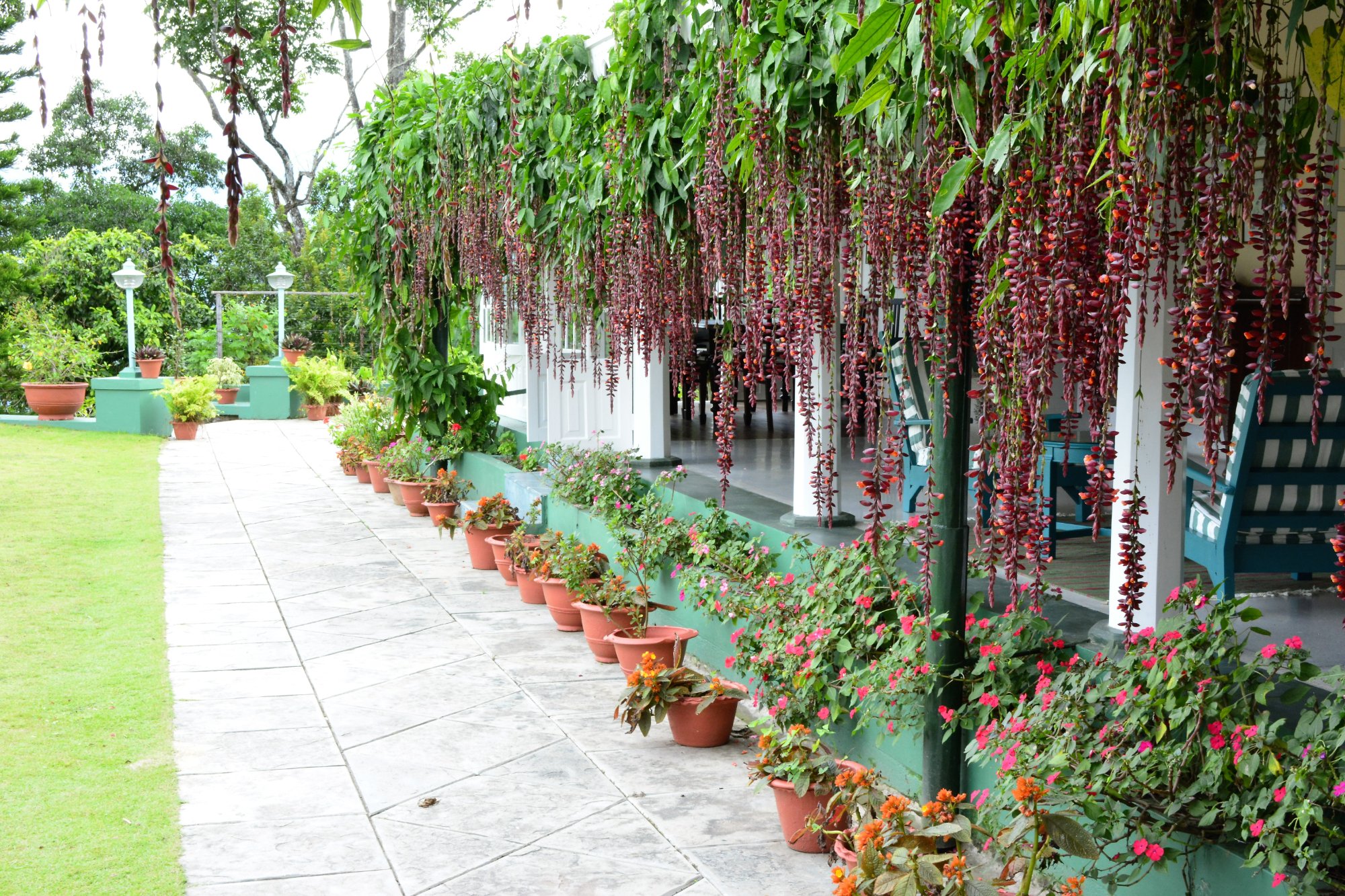 Hotel photo 4 of Glenburn Tea Estate.