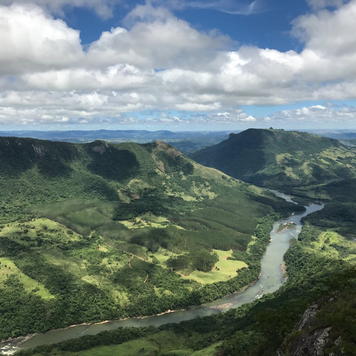 Árvores de inverno.: Vou pedir aos céus, você aqui comigo.