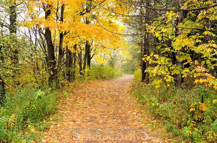 Lime Hollow Nature Center (Cortland) - All You Need to Know BEFORE You Go