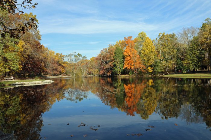 Mallard Lake