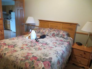 Shining Waters - Ingleside Resort in Cavendish, image may contain: Furniture, Bed, Bedroom, Table Lamp