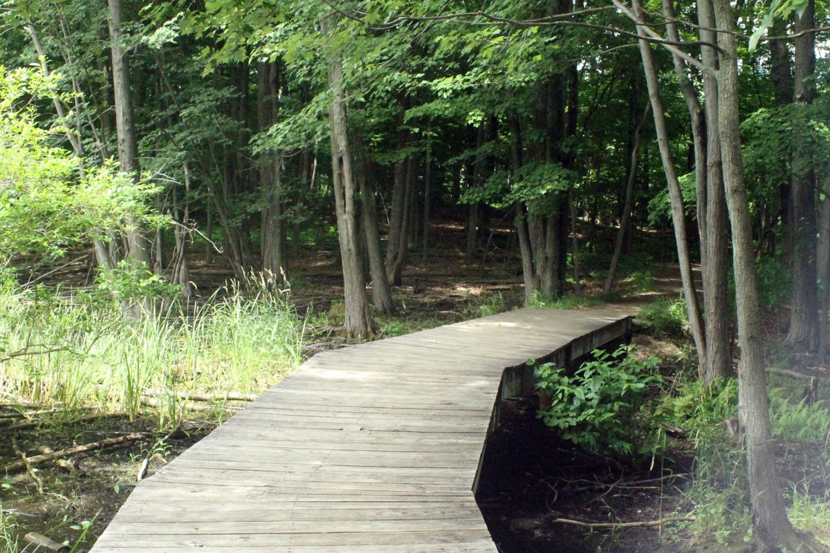 STONY CREEK METROPARK (Shelby Township) Tutto quello che c'è da sapere