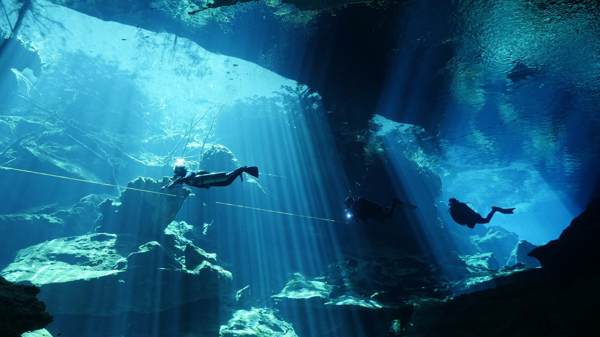 playa del carmen diving centers