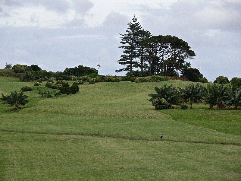 Lord Howe Island Golf Club image