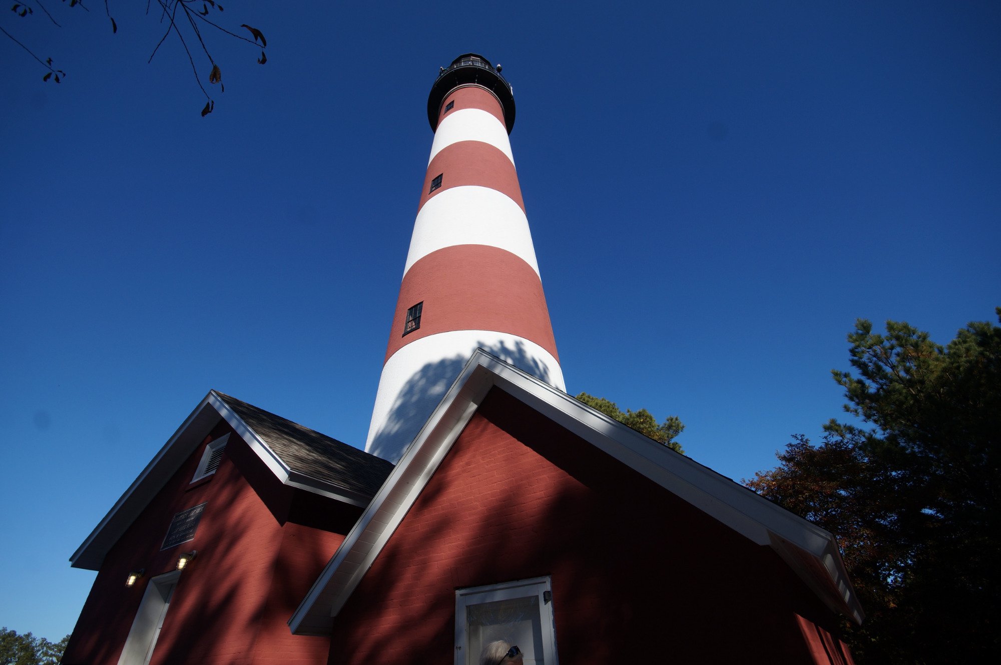 The shops Red and White-Striped Assateague Lighthouse