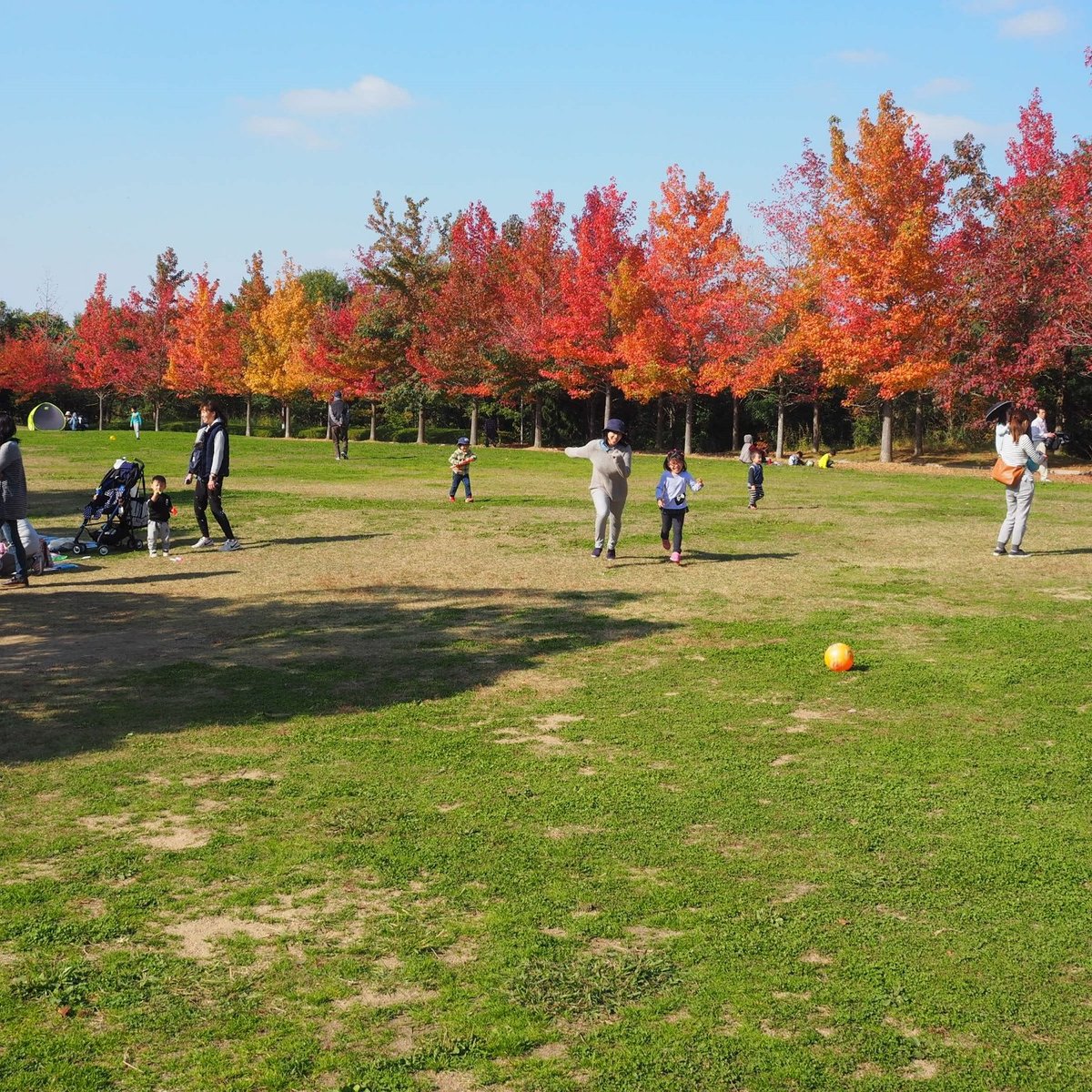 22年 三木山森林公園 行く前に 見どころをチェック トリップアドバイザー