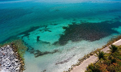 Key Biscayne, FL: Tourismus in Key Biscayne - Tripadvisor