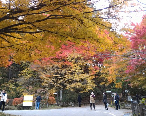 高山市10 大景点玩乐 Tripadvisor 高山市10 大景点玩乐 Tripadvisor