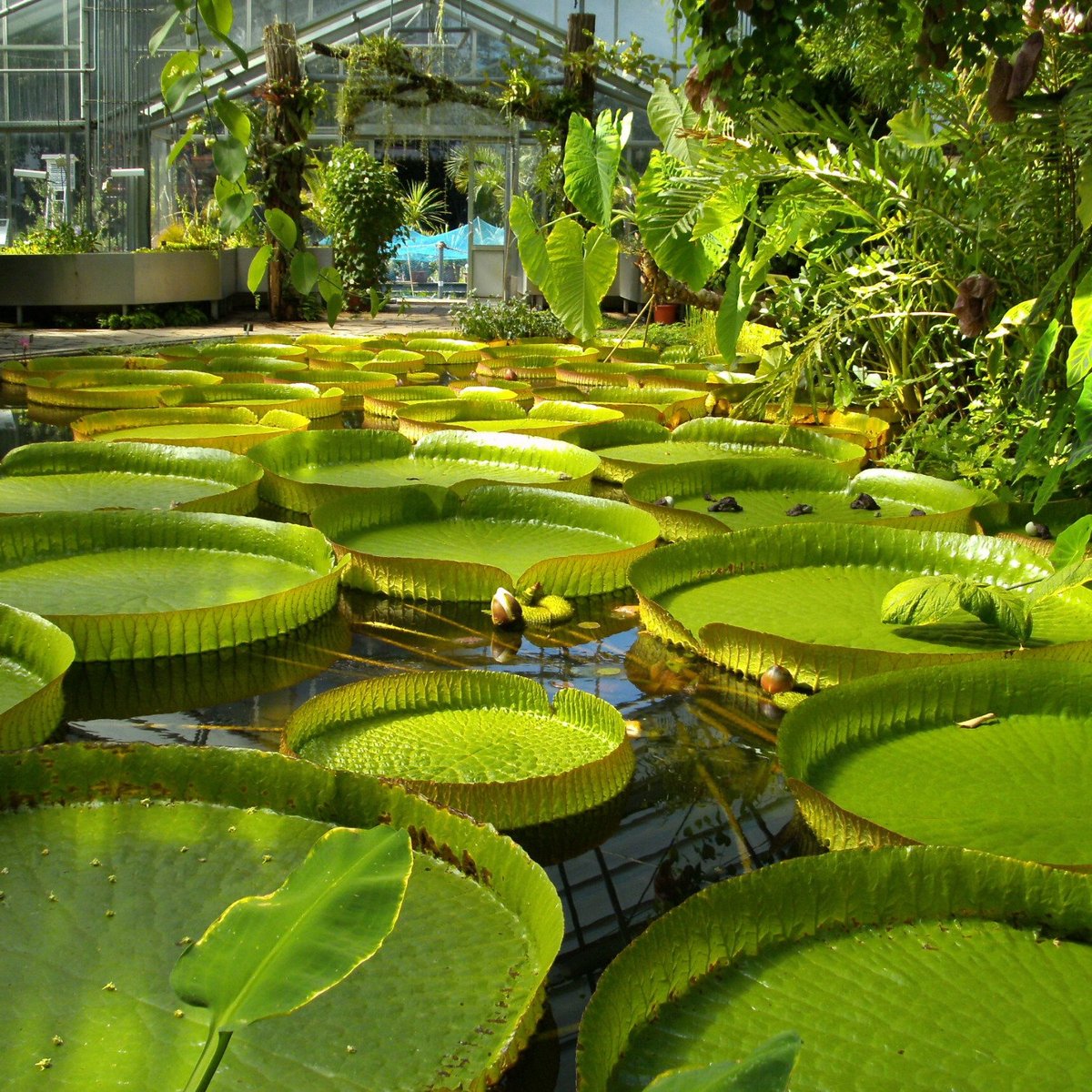 Botanische Gärten der Universität Bonn Lohnt es sich? Aktuell für