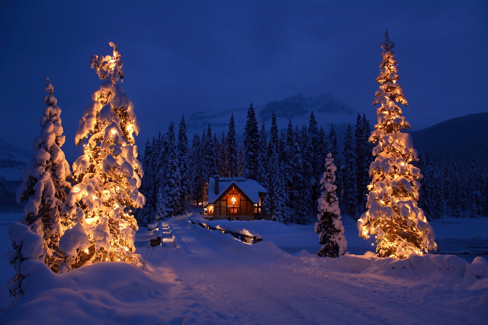 Emerald Lake Lodge by null