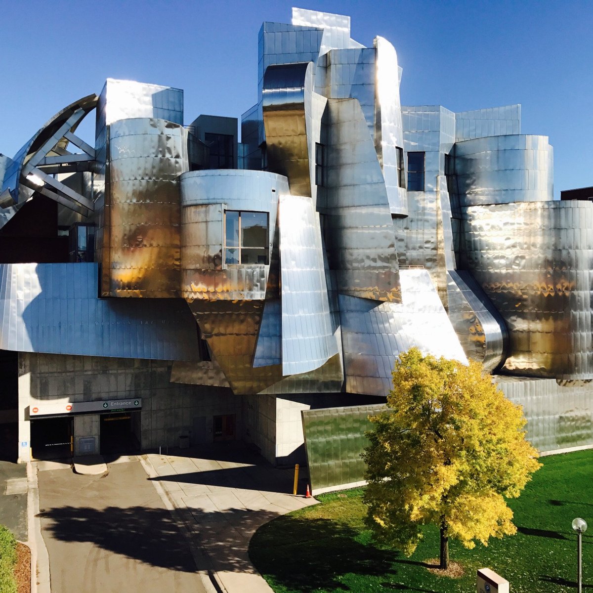 Many Many Many Thanks — Weisman Art Museum