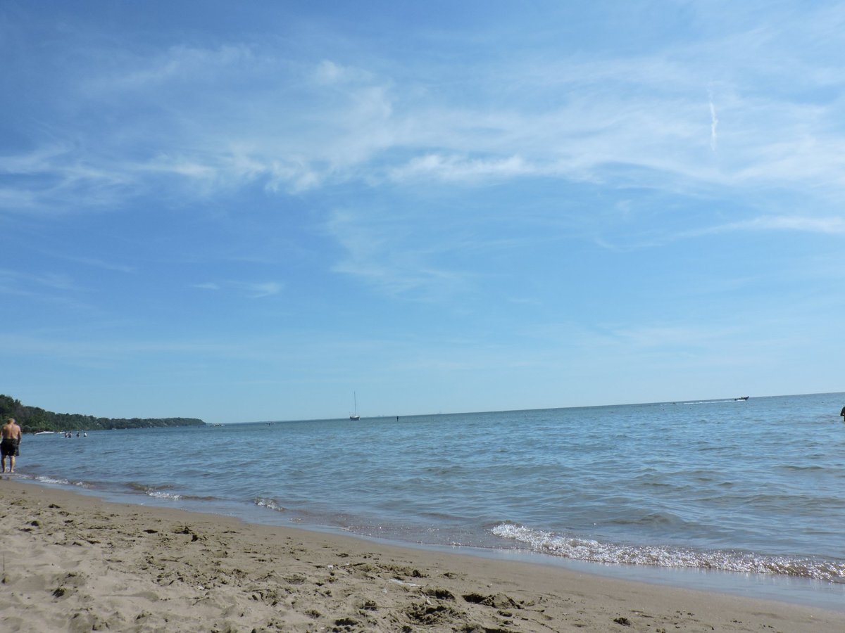 are dogs allowed at turkey point beach