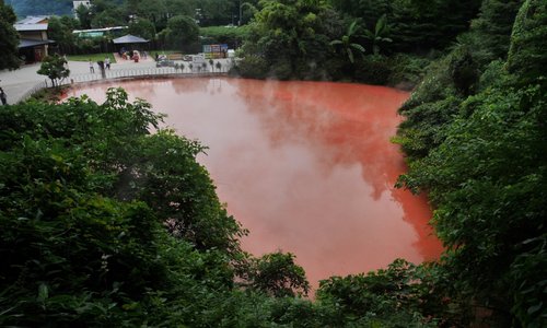 温泉の池の大木にもびっくり
