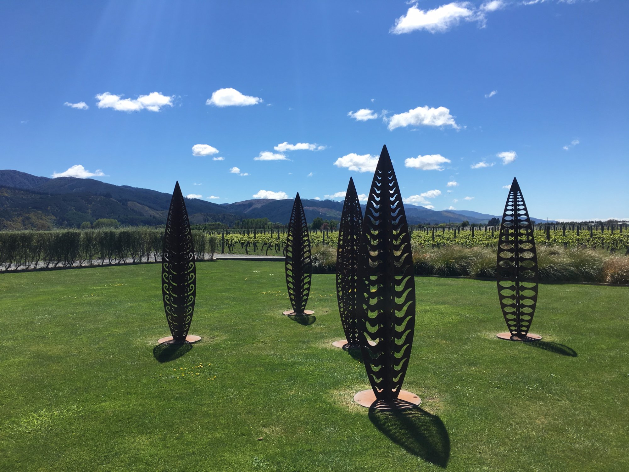 Wairau River Wines Cellar Door All You Need to Know BEFORE You