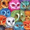 OwlManVA