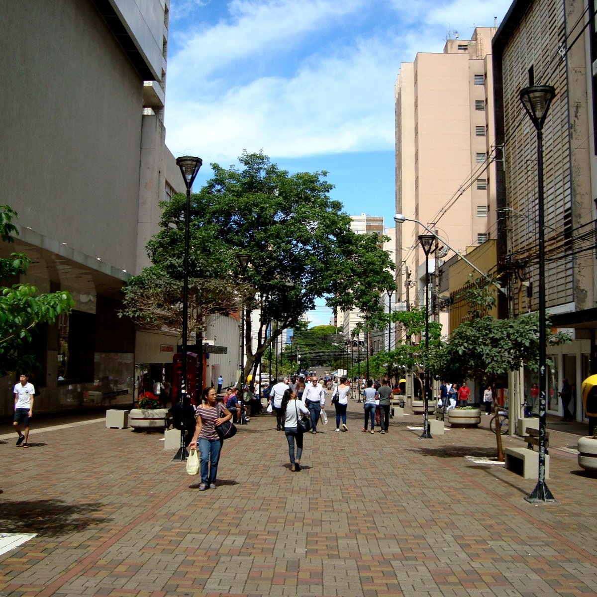 10 melhores restaurantes próximos ao Planetário de Londrina