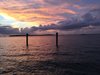 FellowTraveler222632