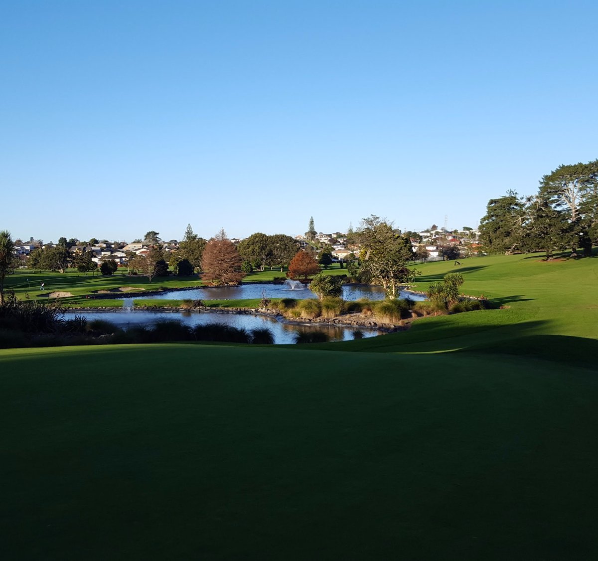 Akarana Golf Club Auckland Central All You Need To Know Before You Go