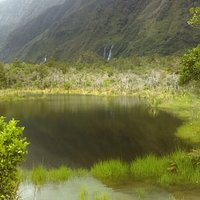 Peters Pool Walk